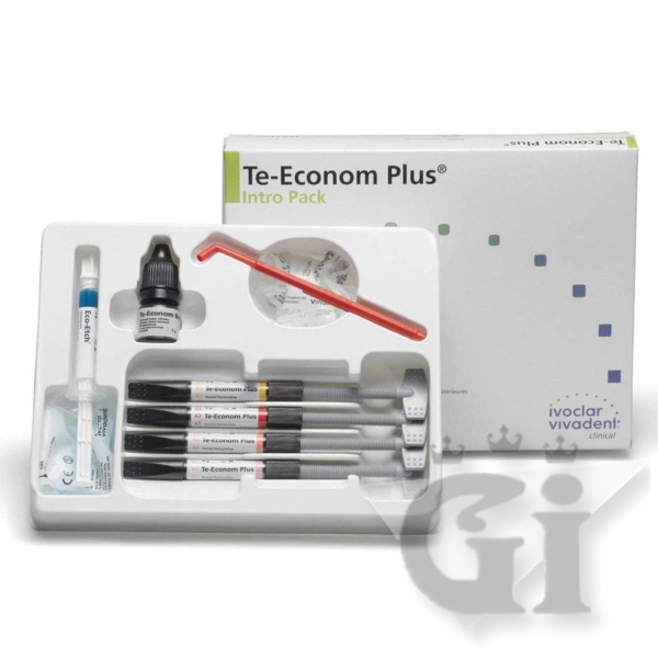 Te-Econom Plus