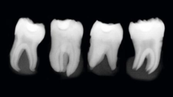 2_Stick-to-innovation-Five-benefits-of-modern-universal-adhesives-250x141